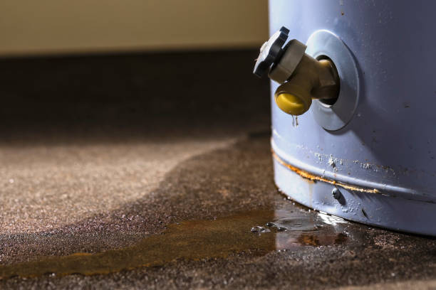 Best Commercial water damage restoration  in New Castle Northwest, PA