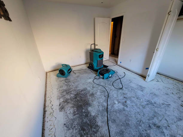 Best Professional water damage repair  in New Castle Northwest, PA