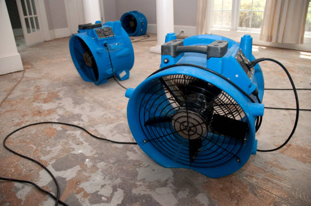 Best Local water damage restoration  in New Castle Northwest, PA