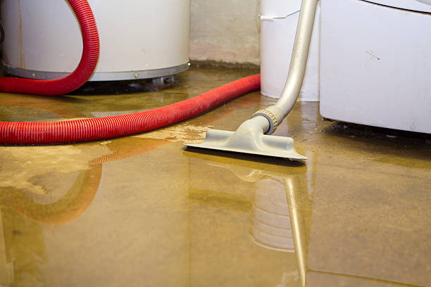 Best Carpet water damage restoration  in New Castle Northwest, PA