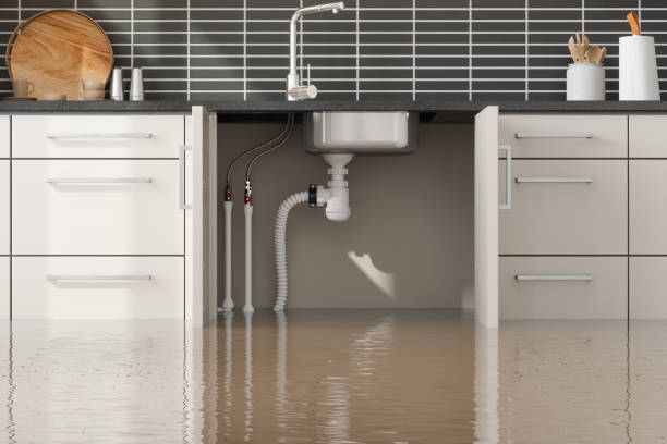 Best Mold removal after water damage  in New Castle Northwest, PA
