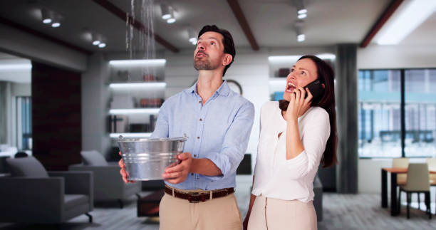 Best Ceiling water damage repair  in New Castle Northwest, PA